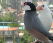 开云官网入口-群晖3617xs引导下载