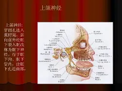 开云官网入口-群晖3617xs引导下载