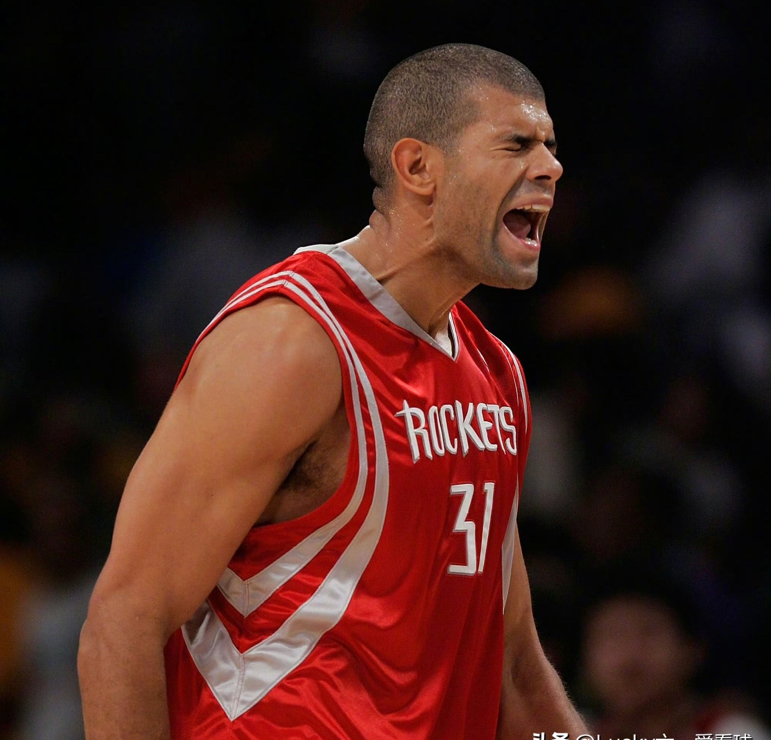 开云官网入口-休斯顿火箭队比赛直播